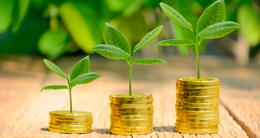 Quais São Os Juros Permitidos No Financiamento