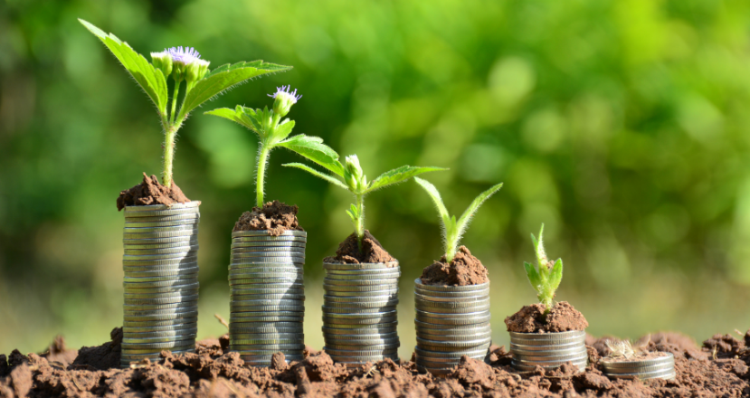 Mantenha Um Bom Histórico Financeiro e Faça Um Financiamento